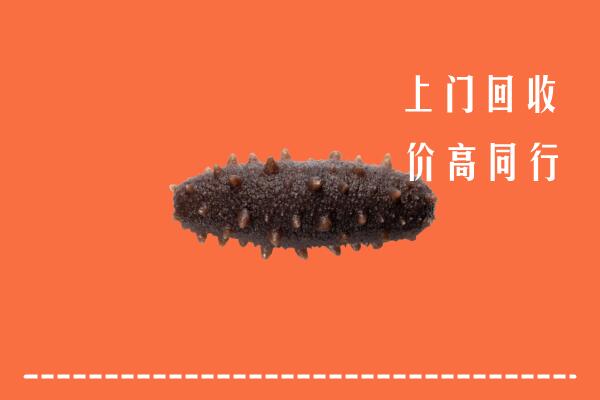 高价求购：潮州回收海参