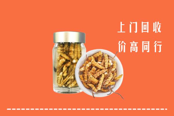 收购行情：潮州回收冬虫夏草